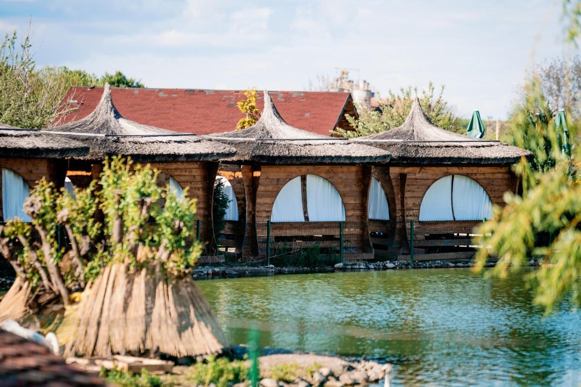 Hotel Montana Garden Răşinari Exterior foto